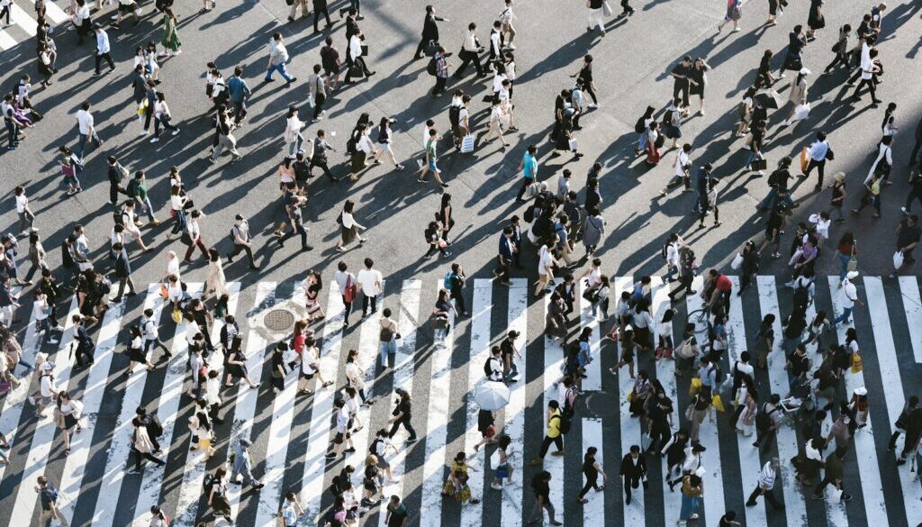 aerial view of people walking on raod